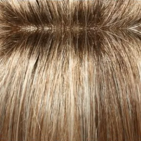 Blake (Renau Colors) Wig by Jon Renau | Remy Human Hair (Lace Front Hand Tied Mono Top)