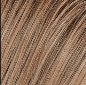 Blake (Renau Colors) Wig by Jon Renau | Remy Human Hair (Lace Front Hand Tied Mono Top)