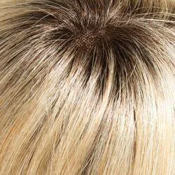 Blake (Renau Colors) Wig by Jon Renau | Remy Human Hair (Lace Front Hand Tied Mono Top)