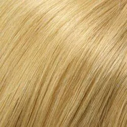 Blake (Renau Colors) Wig by Jon Renau | Remy Human Hair (Lace Front Hand Tied Mono Top)