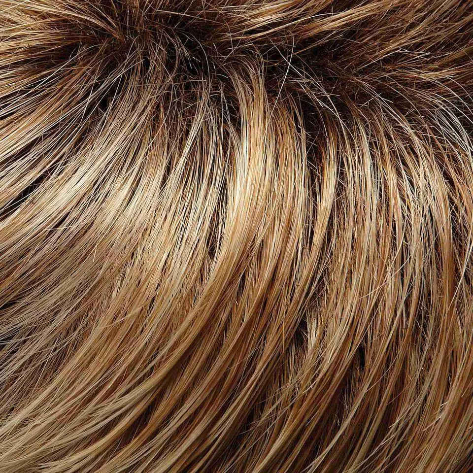Blake (Renau Colors) Wig by Jon Renau | Remy Human Hair (Lace Front Hand Tied Mono Top)