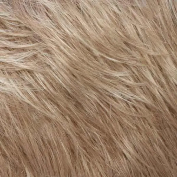 Devin Wig by Estetica Designs | Synthetic (Pure Stretch Cap)