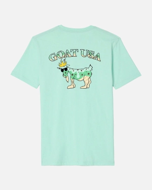 Goat USA Youth Mint Chip T-Shirt