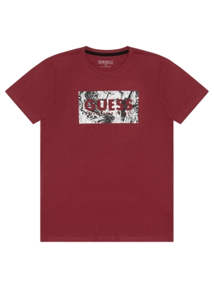 Raspberry Logo T-Shirt (7-16)