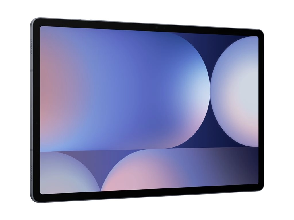 Samsung Galaxy Tab S10  - Enterprise Edition - tablet - Android 14 - 256 GB - 12.4 Dynamic AMOLED 2X (2800 x 1752) - microSD SM-X820NZAAN20
