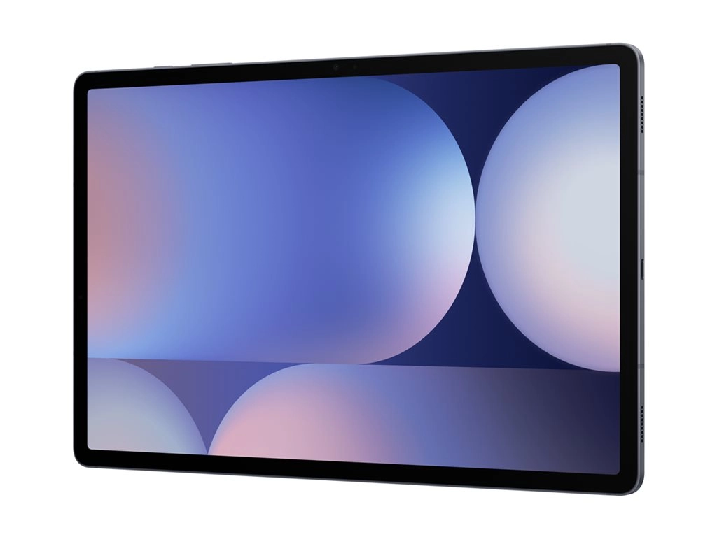 Samsung Galaxy Tab S10  - Enterprise Edition - tablet - Android 14 - 256 GB - 12.4 Dynamic AMOLED 2X (2800 x 1752) - microSD SM-X820NZAAN20