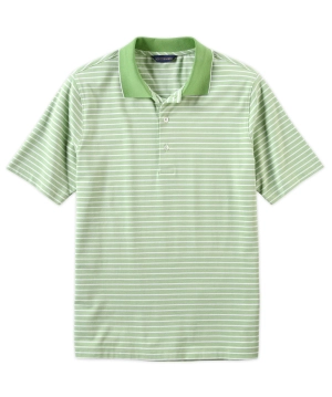 Stretch Cotton Stripe Polo Shirt